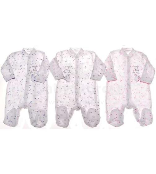 Zuzia Stars Art.1344