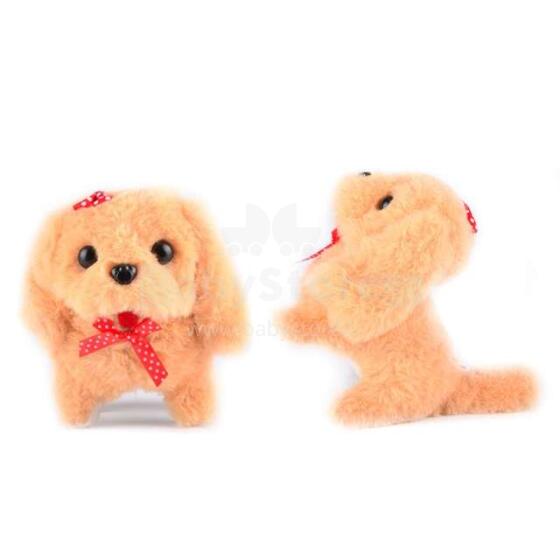 BebeBee Dog Art.294555