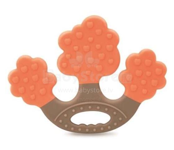 Mombella Apple Tree  Art.P8049 Orange