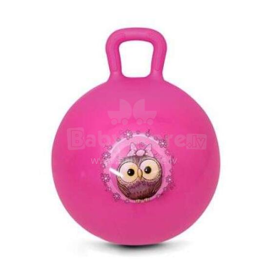Spokey Little Owl Art.922738