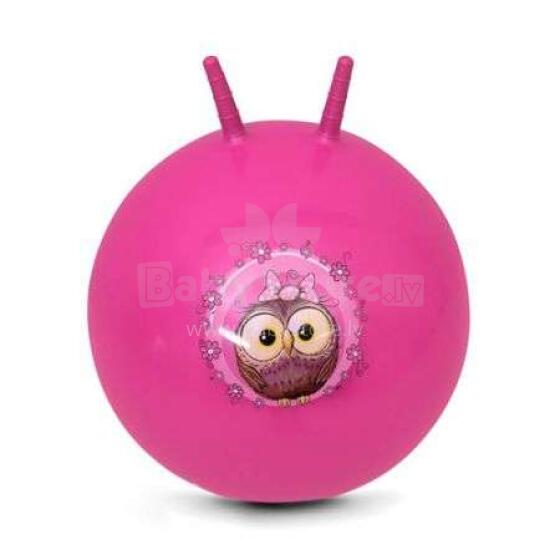 Spokey Little Owl Art.922739