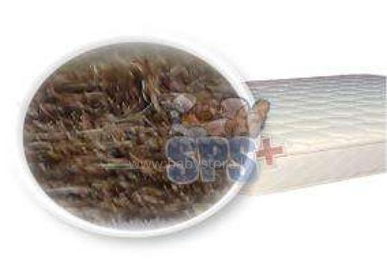 SPS Ingrid-A Art.112123