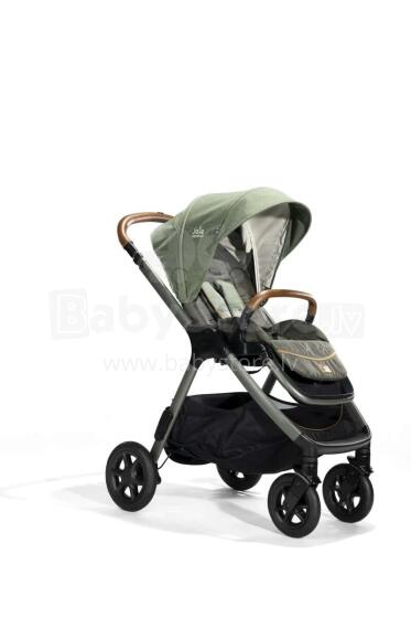 Joie Finiti buggie Signature Pine
