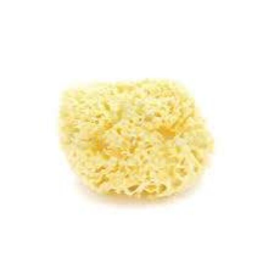 Bellini  Natural Sea Sponge Silk Fine №10