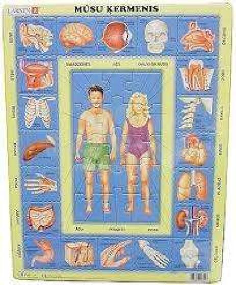 Larsen The Body Art.OB1   Пазл