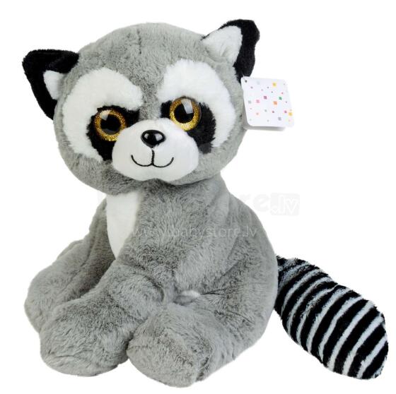 Morgenroth Racoon Art.ABA58056