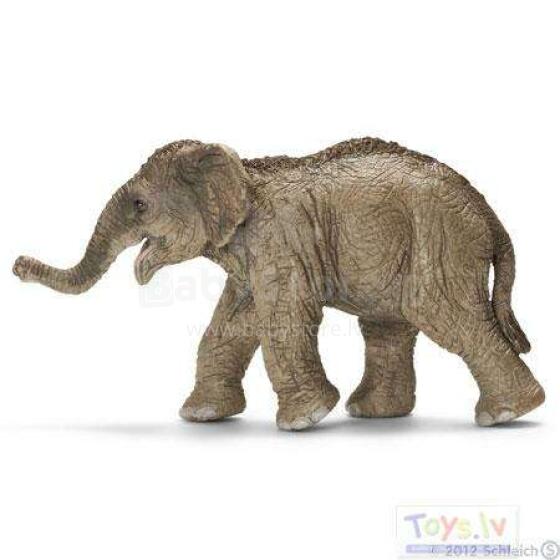 Schleich Āzijas ziloņa mazulis