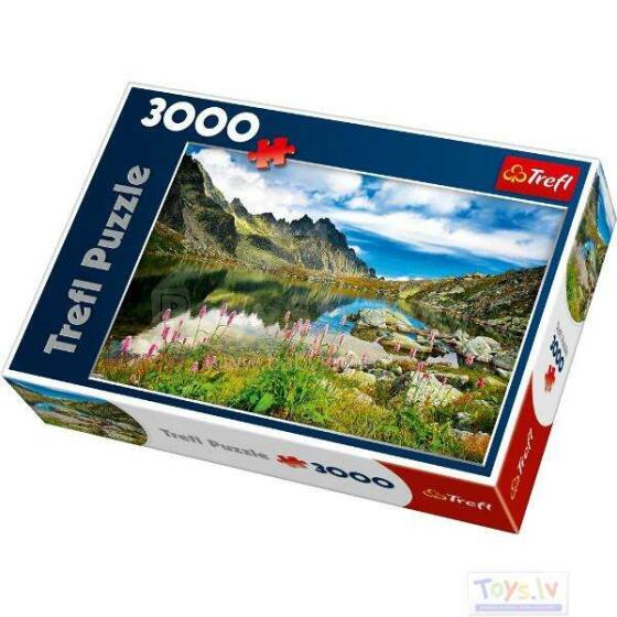 Trefl Puzle Dīķis, 3000 gb.
