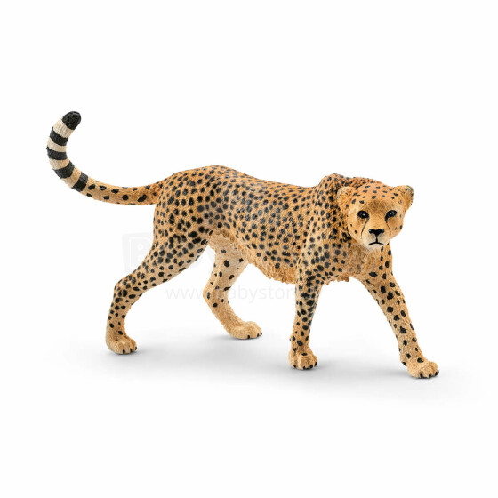 Šleicho gepardo patelė