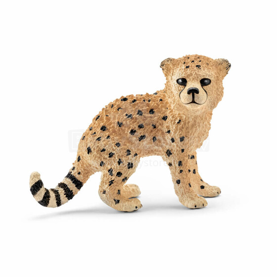 Šleicho gepardo kūdikis