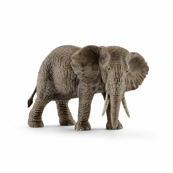Schleich Afrikos dramblio patelė