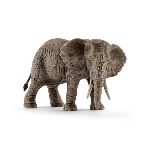 Schleich Āfrikas ziloņa mātīte