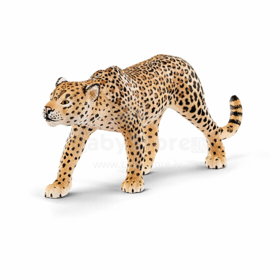 Schleich Leopards