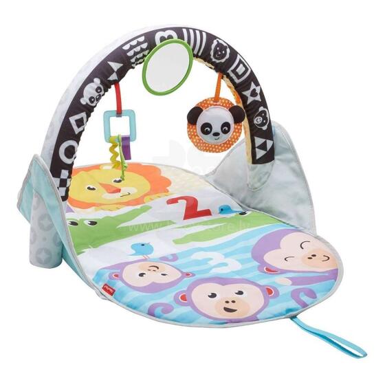 Fisher Price Flip And Fun Activity Gym  Art.FXC14
