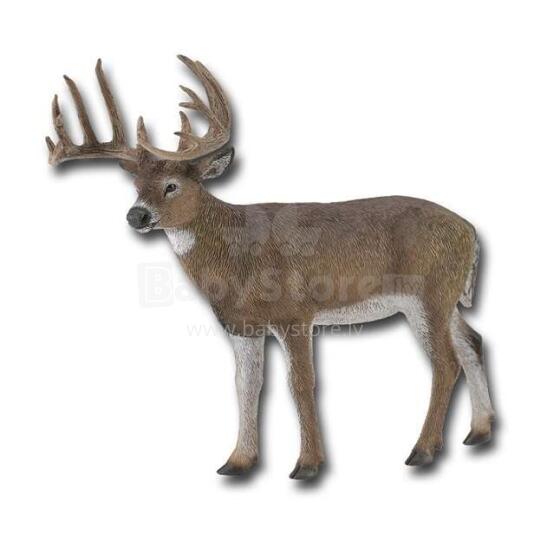 COLLECTA White Tailed briedis, 88832
