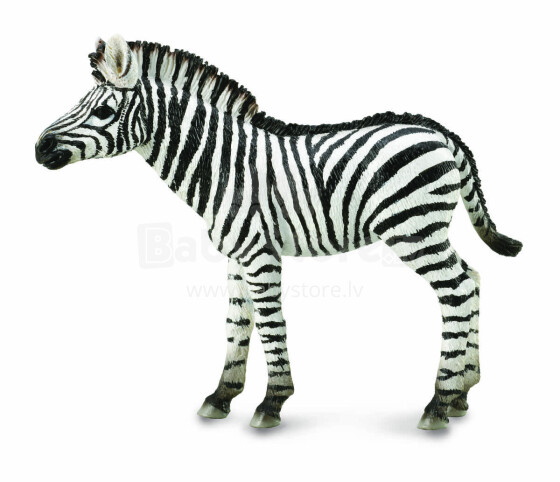 COLLECTA zebra, figūriņa, 88850