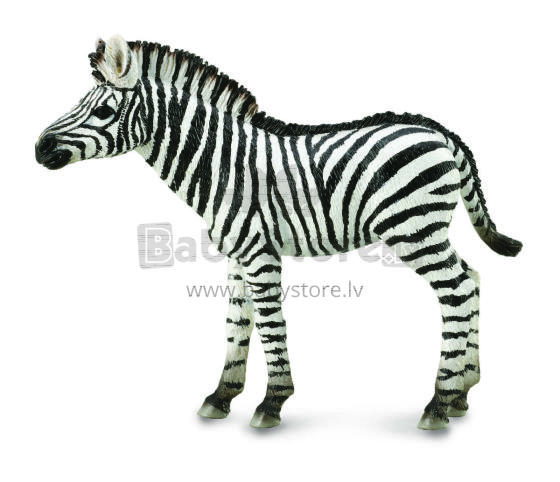 COLLECTA zebra, figūriņa, 88850