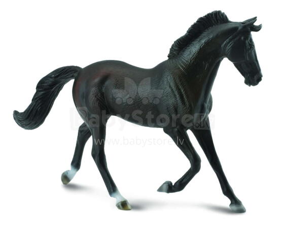COLLECTA (XL)  Tīrasiņu ķēve melna 88478