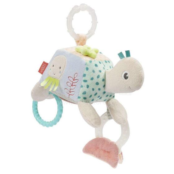 Fehn activity Turtle