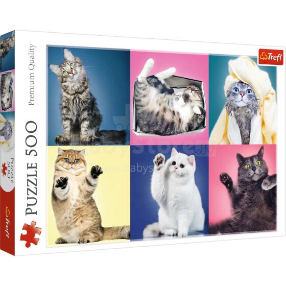 Trefl Cat Art.129114