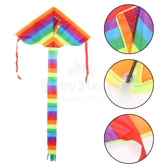 Ikonka Kite Art.KX9671