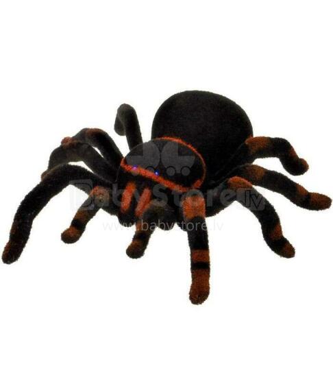 TLC Baby Black Widow Art.T20114