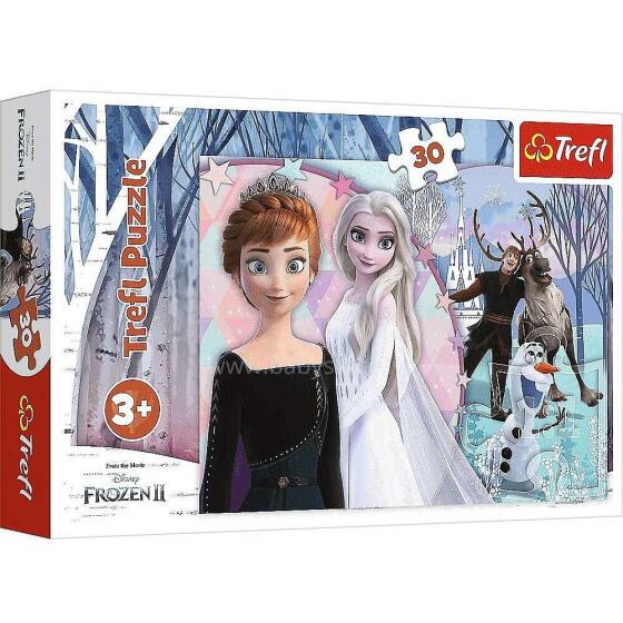 Trefl Frozen Art.133087