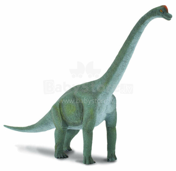 COLLECTA (L) Dinozaurs - Brachiosaurus 8