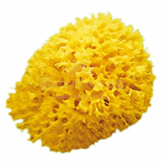 OK Baby Nat. Sea Sponge Honeycomb №10 Art.38471000  Laste mere naturaalne käsn
