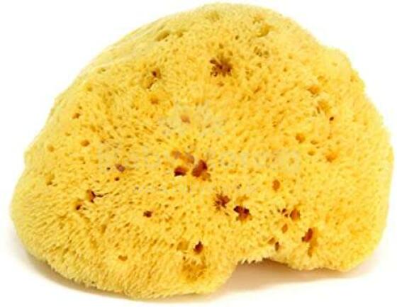 OK Baby Nat. Sea Sponge Honeycomb №14 Art.38471400