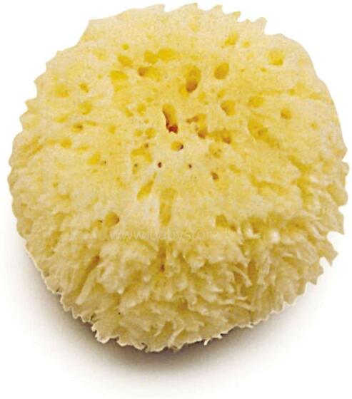 Jane Natural Sponge Art.040106C01 Natural Sea sponge