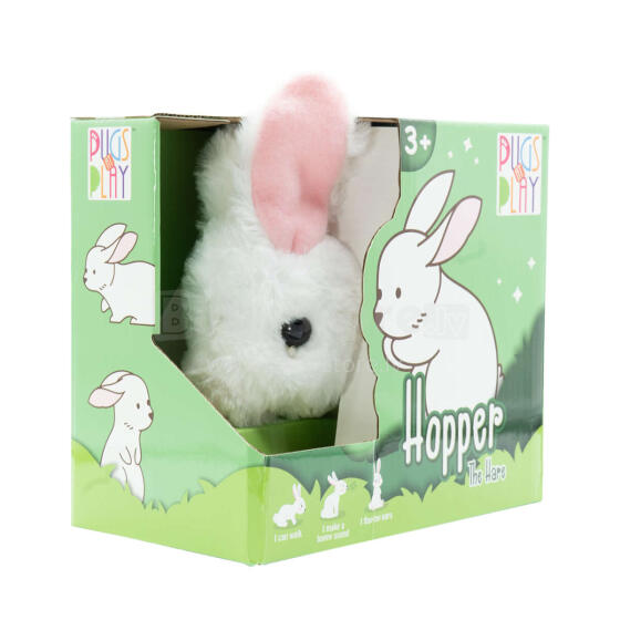 PUGS AT PLAY Jumping Rabbit