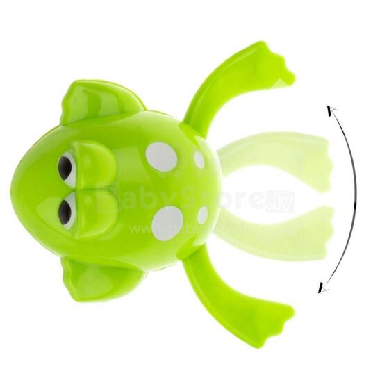 Ikonka Frog Art.KX6945