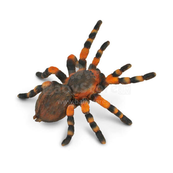 COLLECTA Meksikas sarkanā Tarantula, (L), 88338