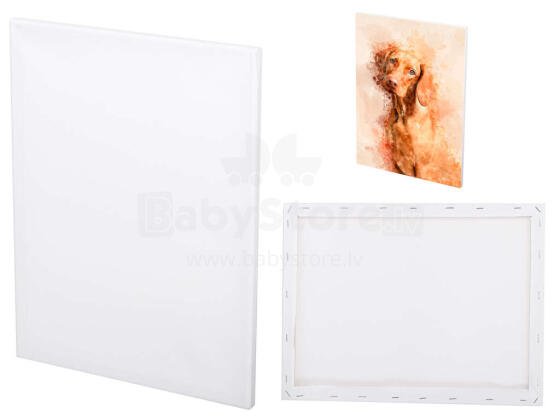 Ikonka Art.KX5495 Painter's canvas substrate 30x40cm