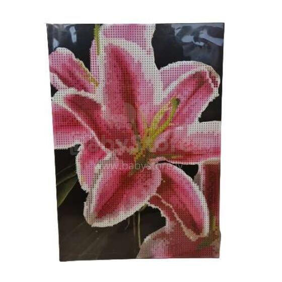 Diamond Painting Art.CR2045/GE/2
