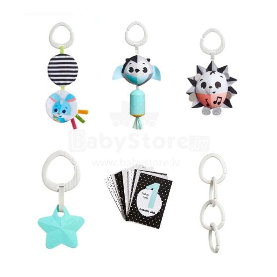 Tiny Love Rattle Art.TL17009000