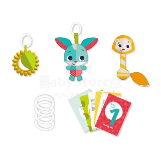Tiny Love Rattle Art.TL17010000