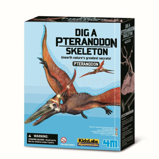 4M Kasinėjimų rinkinys „Pteranodonas