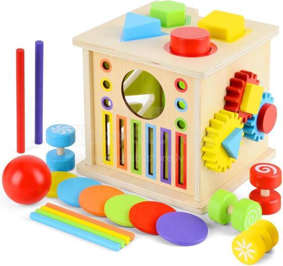 Kidsworld Montessori Wooden Art.152078 Colour Sorting Game, Sensory Toy, Baby Shape Sorter