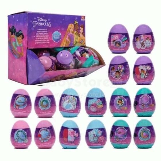 Toi Toys Princess Art.17-DP22116