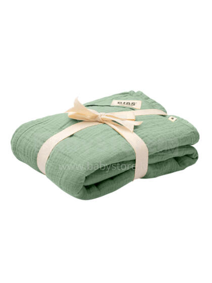 BIBS Muslin Cloth 2-pack Art.152806 Sage