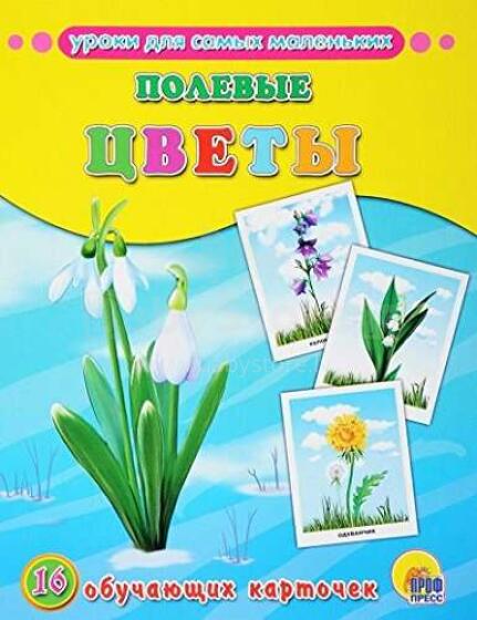 Уроки для самых маленьких. Полевые цветы 16 обучающих карточек