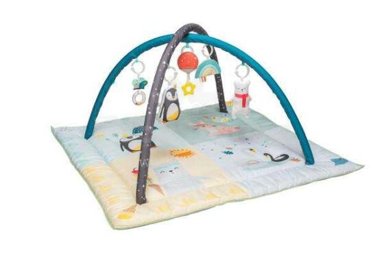 Taf Toys Musical Gym Art.237707
