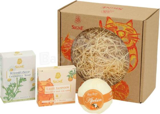 Signe Art.154521 Gift Box For Kids