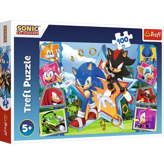 TREFL SONIC Puzle, 100 gab.