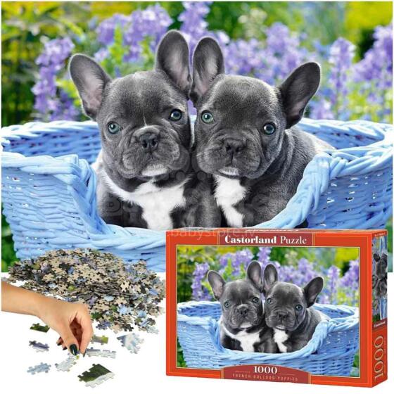 Ikonka Art.KX4365 CASTORLAND Puzzle 1000 elementu franču buldogu kucēni - franču buldogi 68x47cm