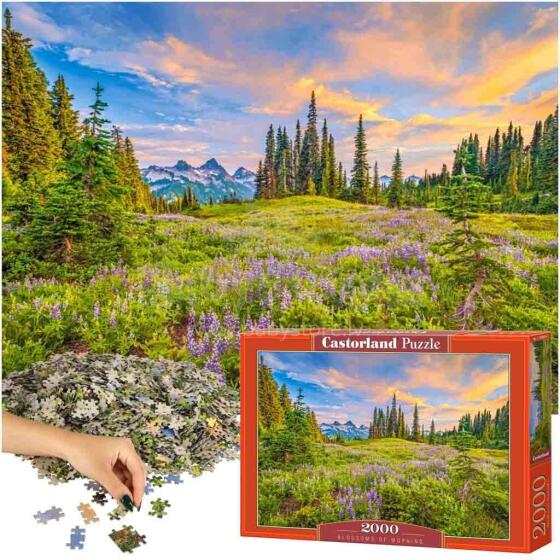 Ikonka Art.KX4364 CASTORLAND Puzzle 2000 elementi Rīta ziedi - ainava 92x68cm