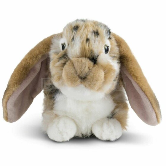 Living Nature Dutch Lop Eared Rabbit Art.AN316B Brown Plush toy