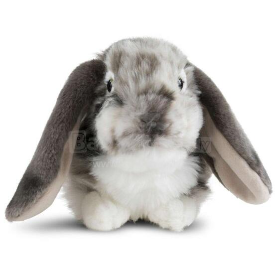 Keycraft Living Nature Dutch Lop Eared Rabbit Art.AN316G Grey Plush toy